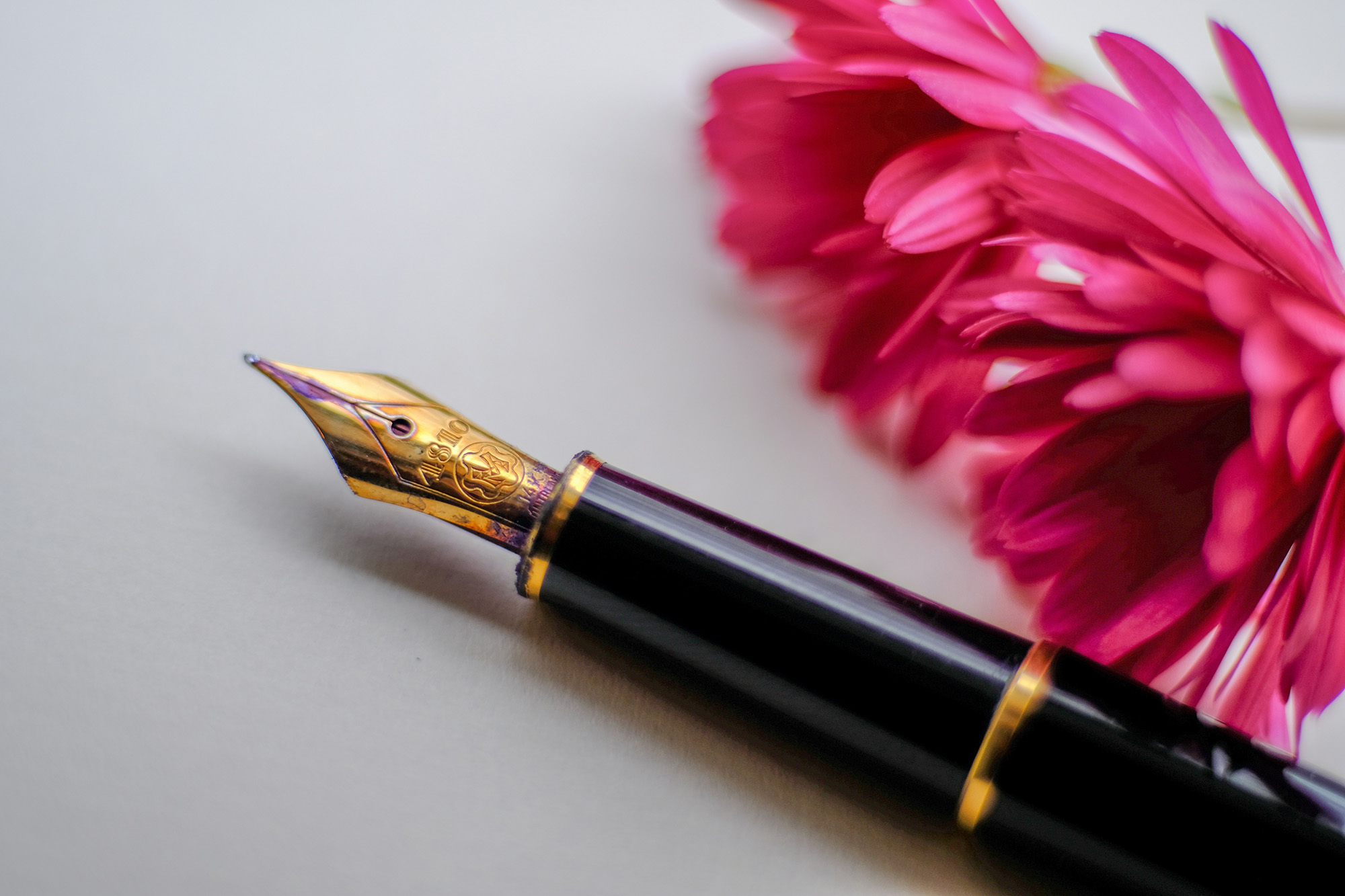 Remembering a Charity in Your Will Image
